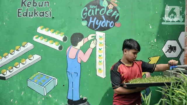 Budi Daya Sayuran Hidroponik Menjadi Produk Ekonomis