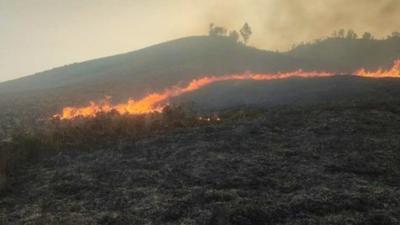 Bromo Kembali Terbakar, Kobaran Api Muncul di Area Dekat Bukit Teletubbies