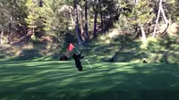 Beginilah kalau Lapangan Golf Jadi Tempat Main Anak Beruang 