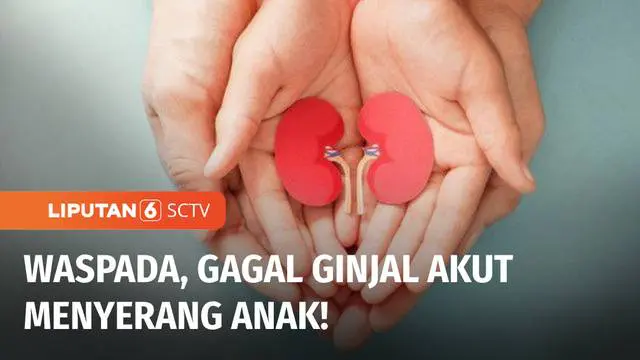 VIDEO: Gagal Ginjal Akut, 11 dari 17 Anak di Bali Meninggal Dunia