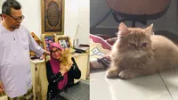 Viral Wanita Ini Terharu Dapat Kado Berisi Kucing Oren, Sampai Menitikkan Air Mata. (Sumber: Twitter/MentriHiburan)