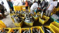 Nelayan memindahkan ikan laut hasil tangkapan di Pelabuhan Muara Angke, Jakarta, Kamis (26/10). Menurut Kementerian Kelautan dan Perikanan (KKP), ekspor produk perikanan tercatat sebanyak 510.050 ton pada semester I-2018. (Liputan6.com/Angga Yuniar)