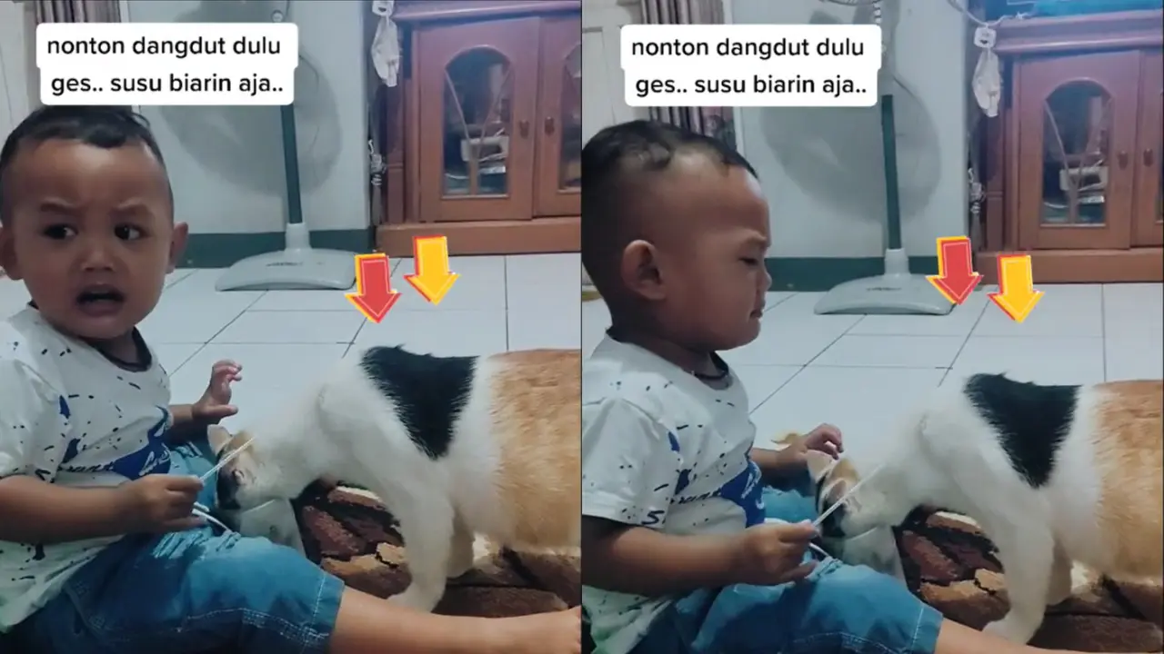 Di tengah asyik menonton, anak laki-laki menangis saat mendapati seekor kucing meminum susunya hingga habis.