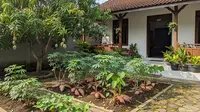 7 Tanaman yang Sebaiknya Dijauhkan dari Pohon Buah, Diam-diam Curi Nutrisi