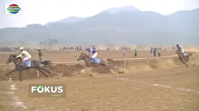 Pordasi Jabar Gelar Lomba Pacuan Kuda di Sumedang