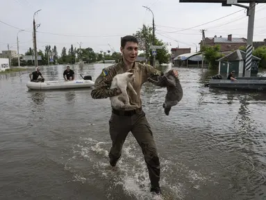 Seorang sukarelawan mengevakuasi kucing dari lingkungan yang banjir di Kherson, Ukraina, Rabu, 7 Juni 2023. (AP Photo/Evgeniy Maloletka)