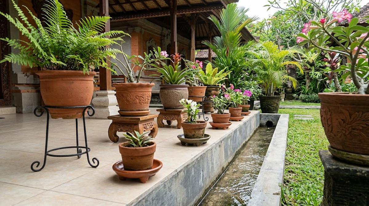 Cara Menata Pot Tanaman agar Tidak Menutup Saluran Air di Teras/AI Generated