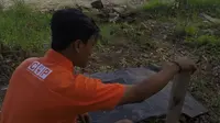 Bangkai orangutan ditemukan mengambang di  sungai di Kalimantan (Centre for Orangutan Protection/COP)