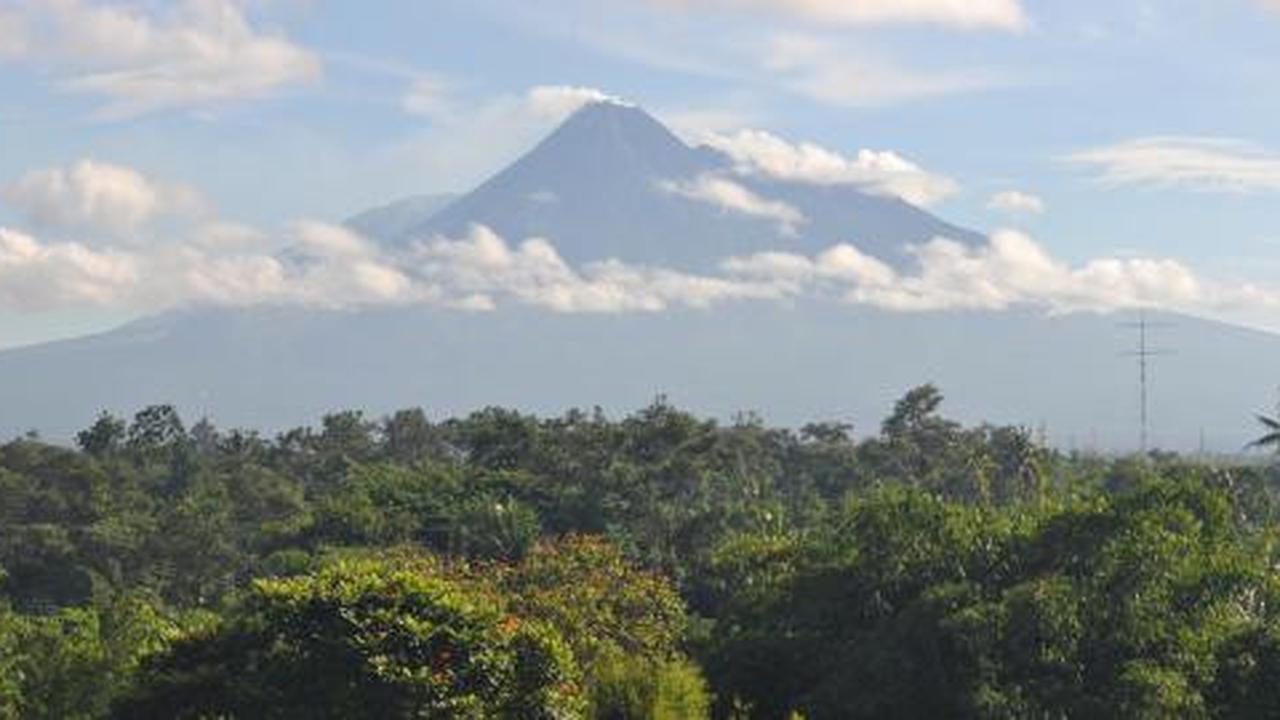 Penghijauan Merapi, Dinas Pertanian Sleman minta dana Rp 2 M
