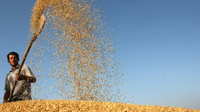 Kelangkaan Pangan FAO