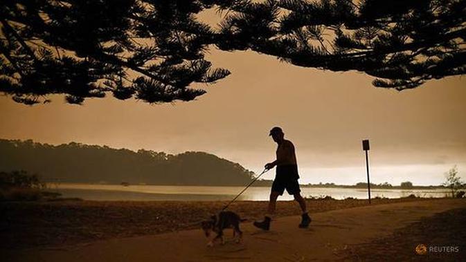 Seorang lelaki menggiring seekor anjing ketika kabut asap dari kebakaran hutan memeluk langit di Narooma, New South Wales, Australia. (Liputan6/CNA/REUTERS/Tracey Nearmy)