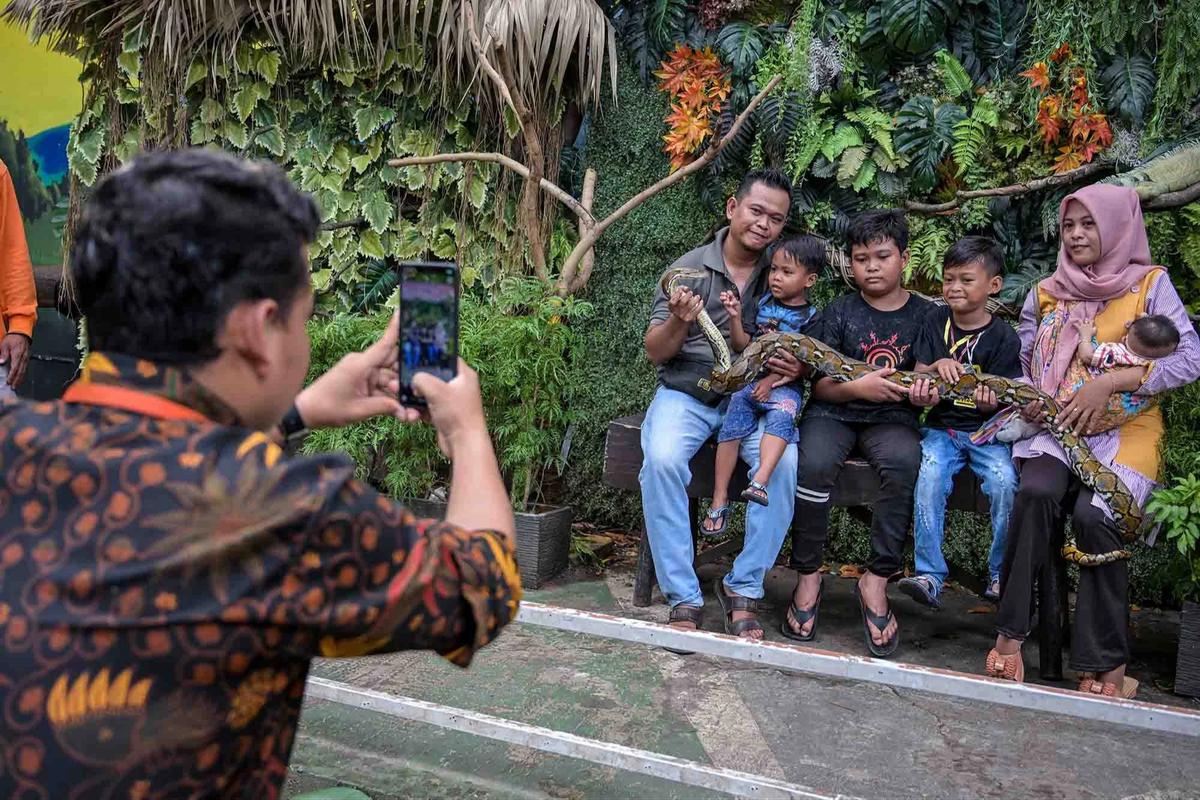 FOTO: Kebun Binatang Surabaya Jadi Pilihan Wisata Edukatif Selama Libur Akhir Tahun