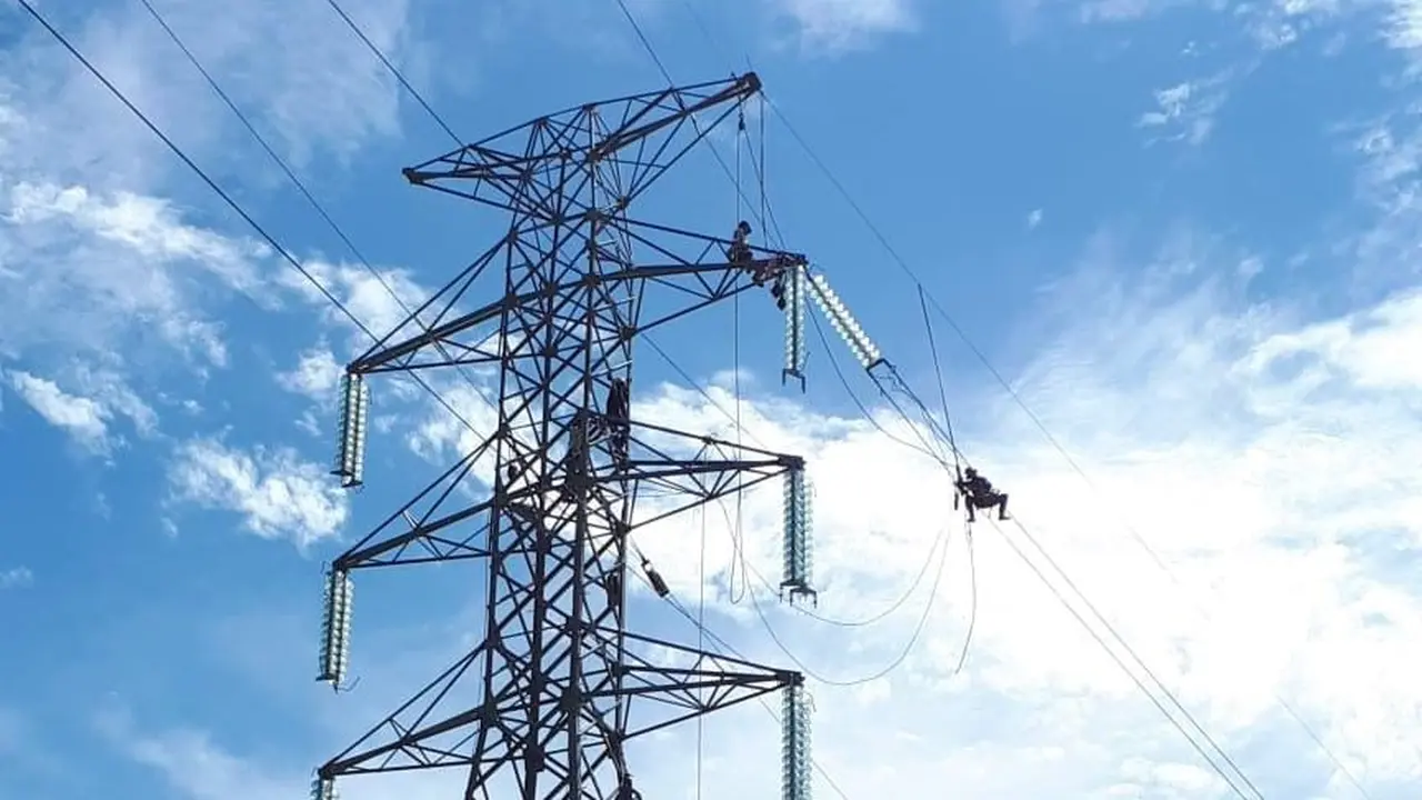 PLN