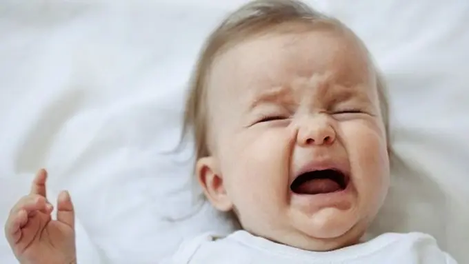 copyright by thinkstockphotos.com