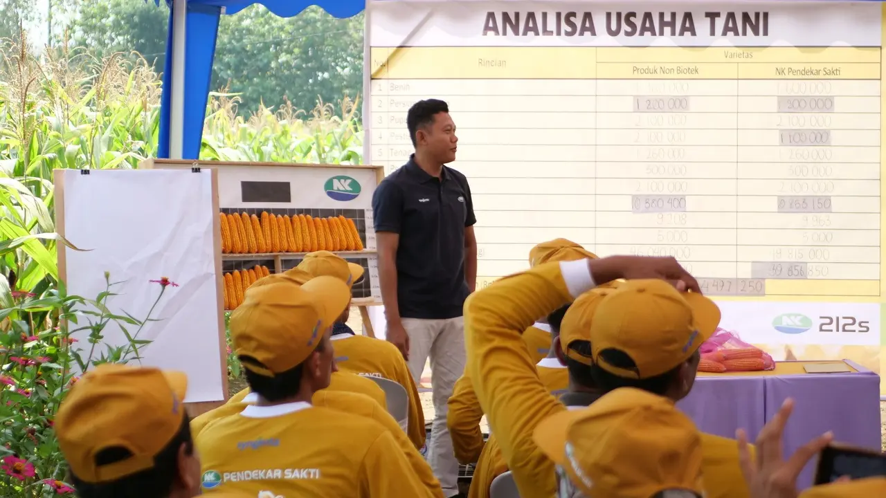 Syngenta Indonesia secara khusus membina lebih dari 227 petani di sentra jagung nasional yaitu di daerah Tuban, Bojonegoro, dan Lamongan Jawa Timur. (Dok Syngenta)