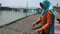 Ironi Natuna: Gas Mengalir ke Singapura, Warga Pakai Minyak Tanah