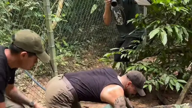 Aksi Pria Berduel dengan Anaconda Hijau
