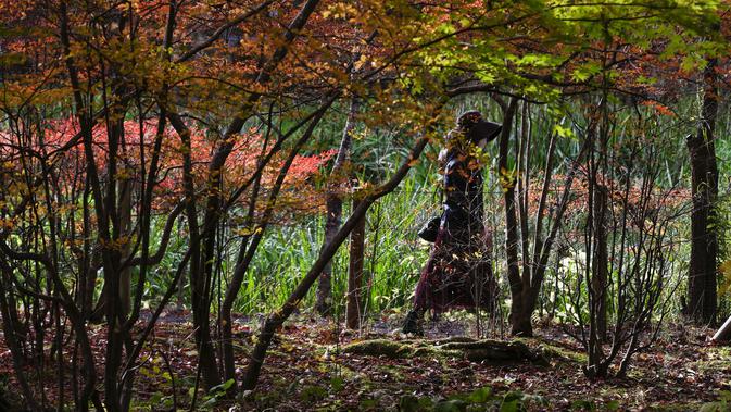 Seorang wanita yang mengenakan masker untuk membantu mengekang penyebaran virus corona berjalan di sepanjang jalan setapak saat pepohonan mulai mengubah warna dedaunan musim gugur di Nagano, barat laut Tokyo, Jepang (27/10/2020). (AP Photo/Kiichiro Sato)