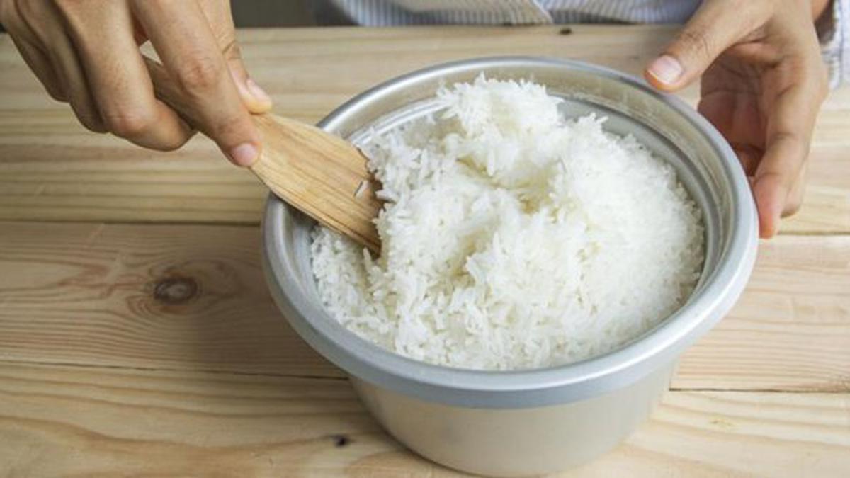 Agar Nasi di Rice Cooker Putih dan Tidak Mudah Basi, Begini Tipsnya