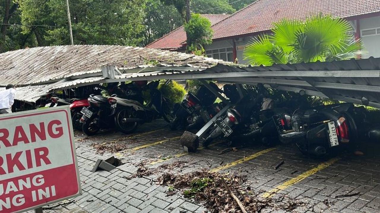 Terungkap! 5 Lokasi Pohon Tumbang Terparah di Kampus Unej Akibat Angin Kencang, Akses Jalan Sempat Lumpuh