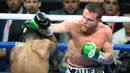 4. Canelo Alvarez )tinju): 94 juta dolar AS. (AFP/Ethan Miller)