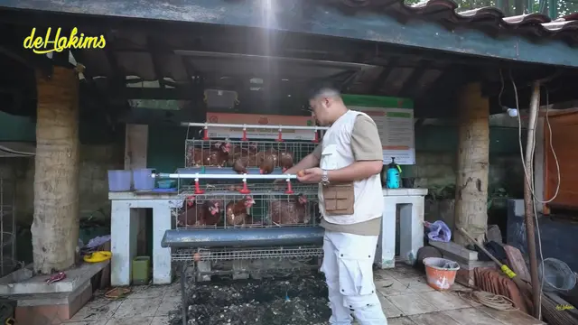 Potret Kandang Ayam dan Kambing di Rumah Irfan Hakim