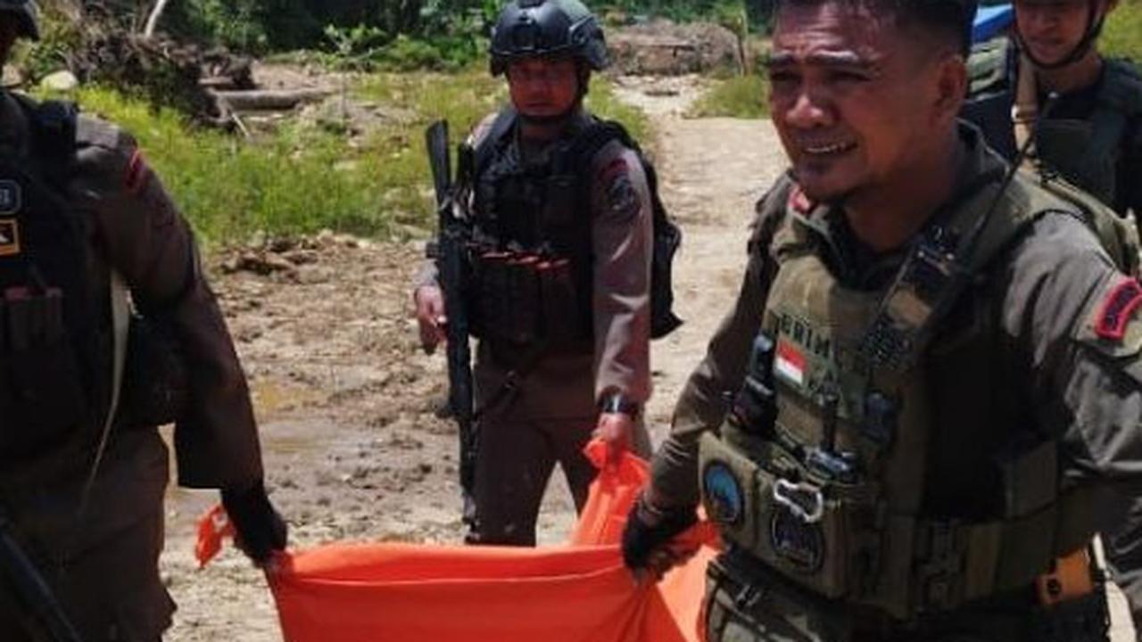 Satgas Gabungan TNI-Polri Tembak Satu Anggota KKB Papua Harisatu Nambagi, Total 6 Orang Tewas