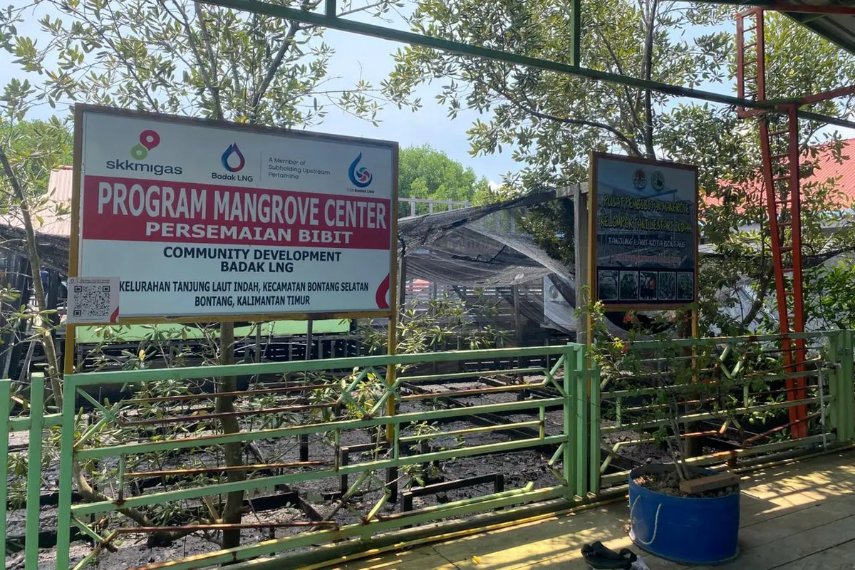 Cerita Ali yang kini menjadi CSR PT Badak NGL atau Badak LNG mendirikan pusat konservasi dan wisata mangrove di Bontang, Kalimantan Timur.