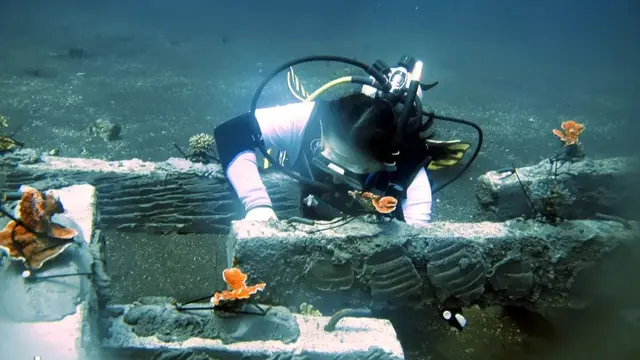 Konservasi Laut