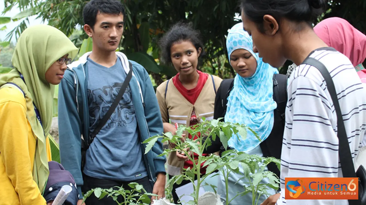 23122013-organic-farming.jpg