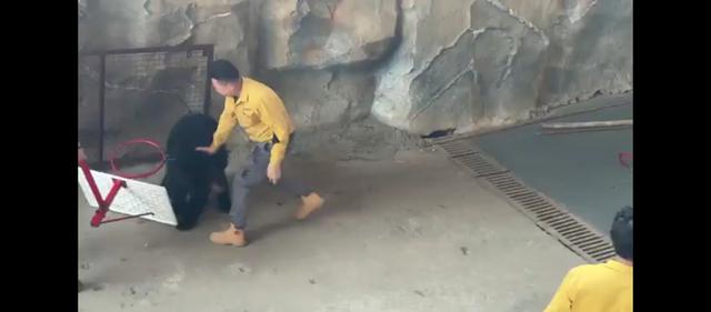 Upaya Penyelamatan Dramatis