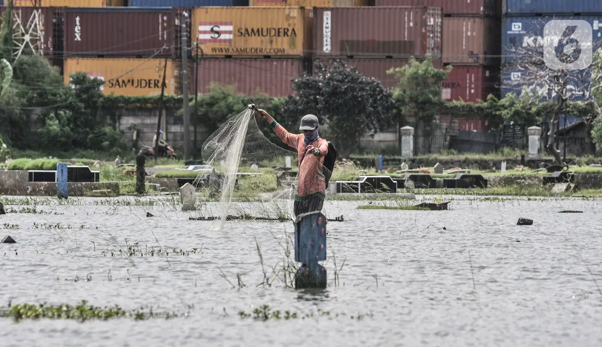Amir (38) saat menjala ikan di genangan air yang merendam kompleks pemakaman TPU Semper, Jakarta, Selasa (2/2/2021). Banjir juga diperparah dengan lahan industri di sekelilingnya yang membuat aliran air berbalik dari laut. (merdeka.com/Iqbal S. Nugroho)