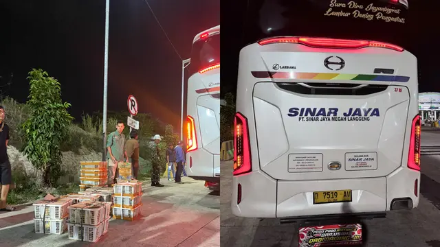 2.775 Burung berbagai jenis ditemukan dalam puluhan keranjang dan kardus di bagasi bus di Bakauheni. (Liputan6.com/Istimewa).