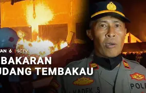 Gudang Tembakau di Bondowoso Terbakar, Mobil Damkar hingga Water Canon Dikerahkan
