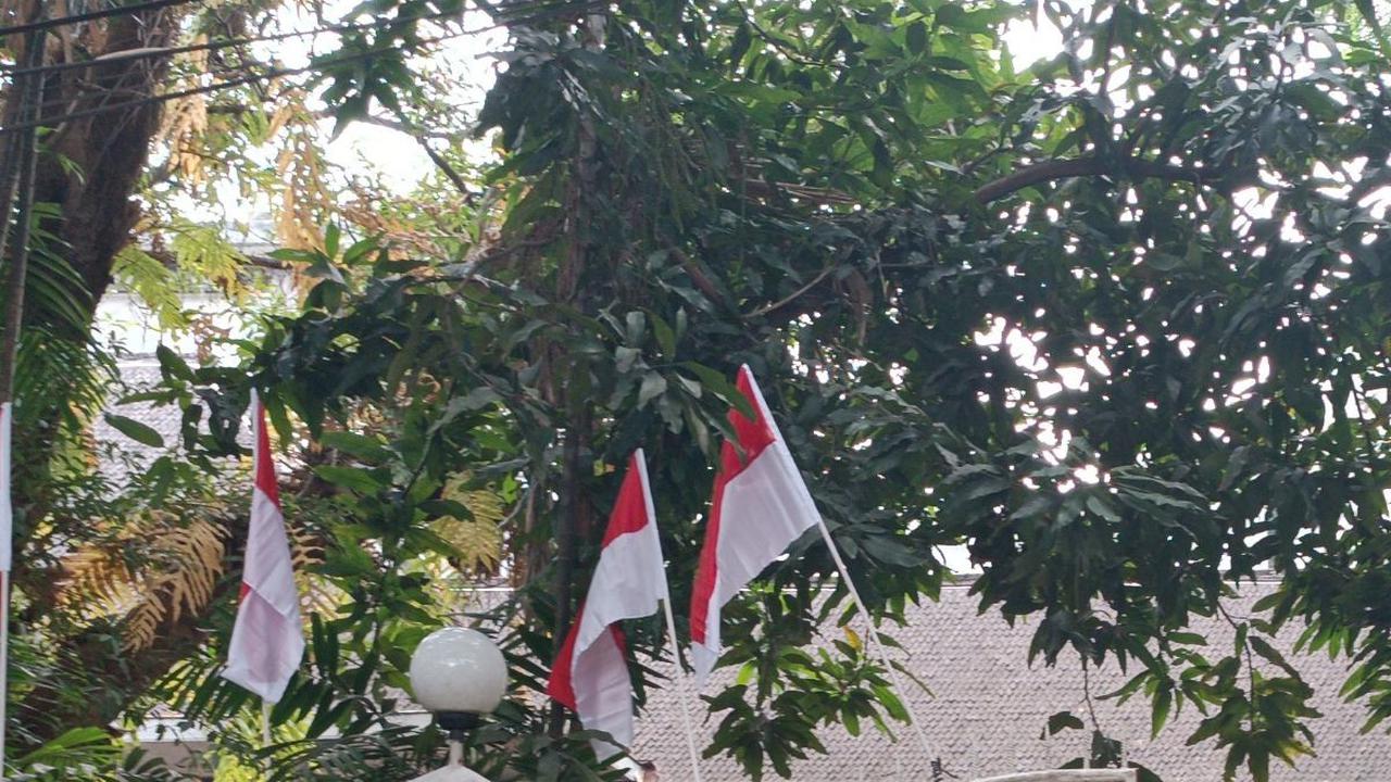 Begini Penampakan Rumah Mewah Guruh Soekarnoputra, Ada Kolam Renangnya