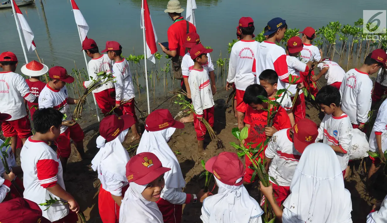 Siswa-siswi  SD Nasima Semarang menanam pohon mangrove di Teluk Pantai Mangunharjo, Mangkang, Tugu, Jumat (18/1). Sebanyak 2500 bibit mangrove ditanam untuk melindungi pantai dan tebing sungai dari proses erosi atau abrasi. (Liputan6.com/Gholib)