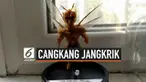 Karya seni seorang pria tua yang terbuat dari cangkang jangkrik. Ia menggunakan 3 cangkang jangkrik dan menjadikannya sebagai action figure.