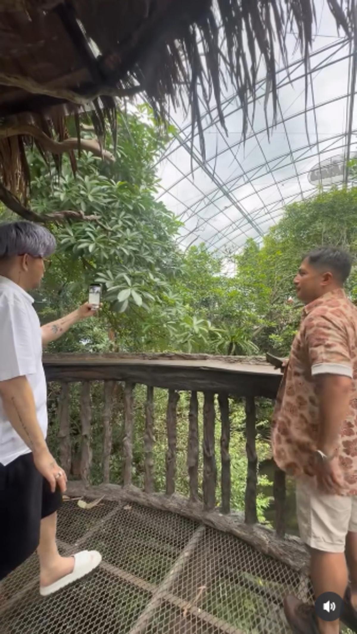 7 Potret Rumah Irfan Hakim dengan Taman yang Asri, Dipenuhi Koleksi Hewan Kesayangannya