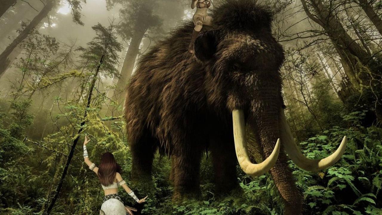 Satu-Satunya di Dunia, Ilmuwan Temukan Fosil Tengkorak Leluhur Gajah Berusia 7,5 Juta Tahun