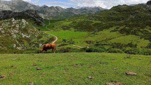 Taman Nasional Komodo Dinobatkan Jadi Tempat Terindah ke-2 di Dunia, Siapa di Posisi 1?