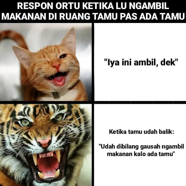 6 Meme Beda Aksi Orang Tua Kepada Anak Saat Ada Tamu Bikin Kesal