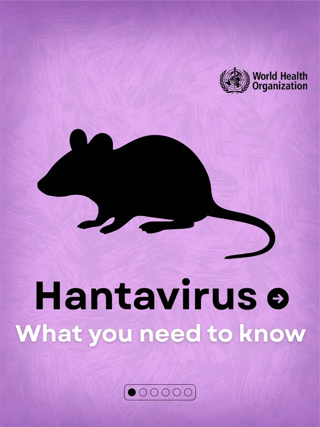 Wabah Hantavirus di MV Hondius Picu Alarm Kesehatan Internasional