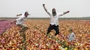 Warga Israel saat berkunjung ke Taman Bunga Ranunculus di Kibbutz, Nir Yitzhak, di perbatasan Israel-Jalur Gaza (12/4). Taman Bunga Ranunculus ramai didatangi warga saat hari liburan Yahudi Pesach (Paskah). (AFP PHOTO/MENAHEM KAHANA)