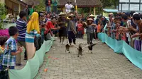 Desa Betisan Sukomarto Kecamatan Jumo Kabupaten Temanggung, rutin setiap tahunnya diadakan sebuah lomba unik yaitu Balap Bebek