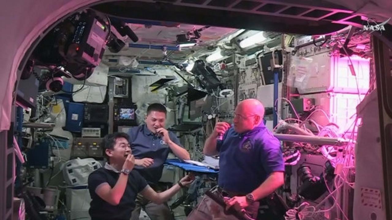 Mengintip astronot makan sayuran hasil tanam di luar angkasa
