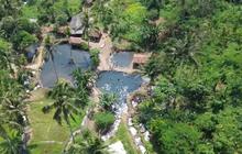 Ada Kolam Alami di Tengah Sawah Subang, Air Jernihnya Curi Perhatian