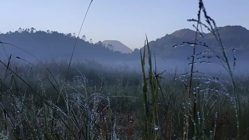 Embun es Dieng dilaporkan muncul di laparangan timur kompleks Candi Arjuna, Dieng Kulon, Batur, Banjarnegara, sabtu, 18 Mei 2019 setelah dipicu suhu minus satu derajat Celsius. (Foto: Liputan6.com/UPT Dieng/Muhamad Ridlo)