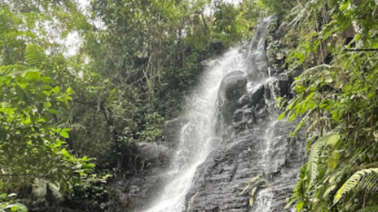 Menikmati Kesegaran Curug Cipurut Purwakarta, Airnya Dipercaya Berkhasiat