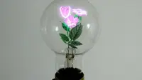 Bunga dalam lampu bohlam ini memiliki keindahan yang menakjubkan (foto : odditycentral.com)