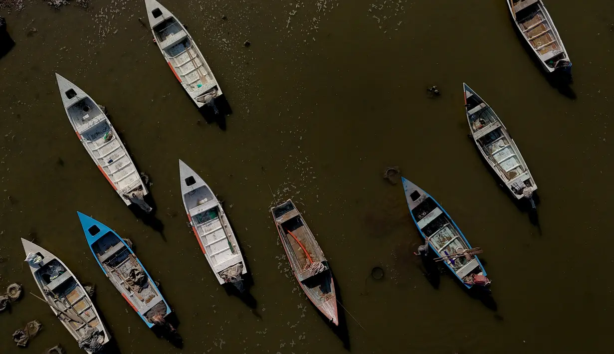 Danau Chapala juga mendukung keanekaragaman hayati yang kaya akan kehidupan akuatik, termasuk berbagai spesies ikan dan burung yang bermigrasi. (Ulises Ruiz / AFP)